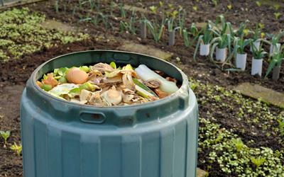  Get the Dirt on Composting
